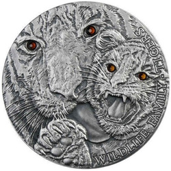 Wildlife Family Tigers 1 oz ezüst 2013 Crystal Proof Antiqued