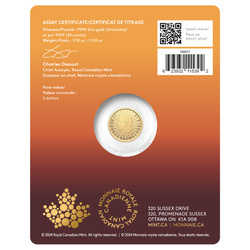 Canada: The Majestic Polar Bear 1/10 oncia d'oro 2024 (in cartoncino)