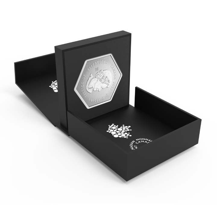 Canada: Snowflake $20 Srebro 2023 Reverse Proof