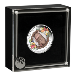 Dreaming Down Under: Wombat Durmiente coloreado 1/2 oz Plata 2021 Proof