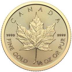Hoja de arce canadiense 1/4 oz Oro 2024