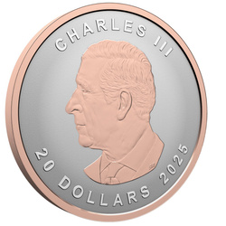 Canadian Maple Leaf “Silver Maple Leaf” Gold-Plated 1 oz Silver 2025 Reverse Proof Ultra High Relief