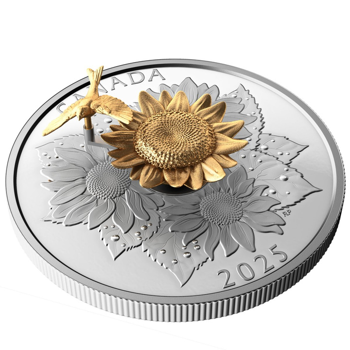 Kanada: The Goldfinch and the Bloom pozlacené 50 $ stříbro 2025 Proof