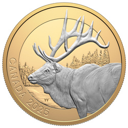 Canadá: Animal Portraits - Elk moneda de plata de $20 chapada en oro 2025 Proof