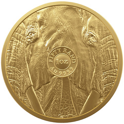 Big Five: Elefante 1 oz Oro 2024 Proof