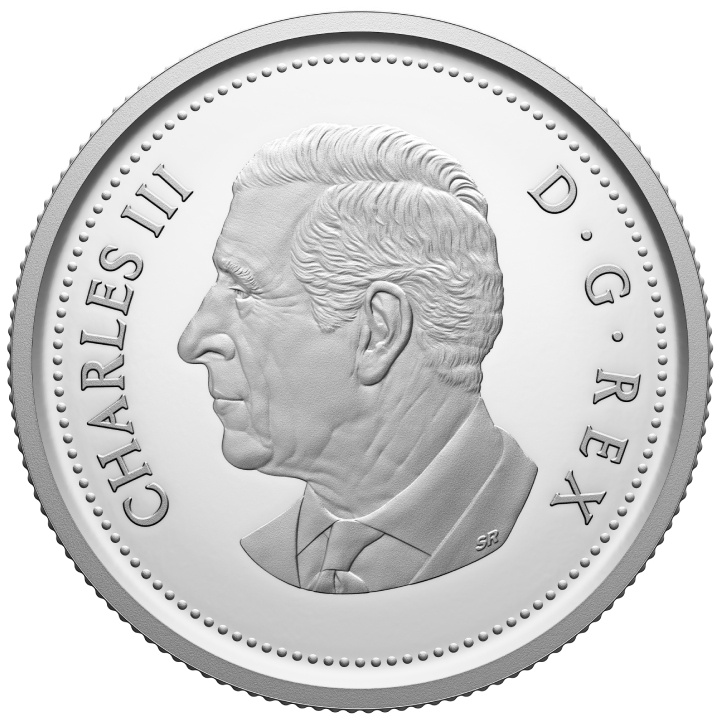 Set Canada: 100° anniversario della Royal Canadian Air Force - Edizione speciale 7 monete d'argento 2024 Proof