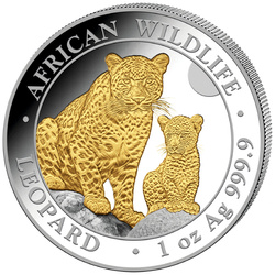 Somalia: African Wildlife - Leopard 1 oz Silber 2024 Gilded