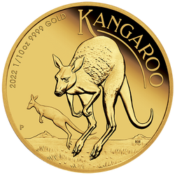 Zestaw Australijski Kangur 1/4 uncji & 1/10 uncji Złota 2022 Proof