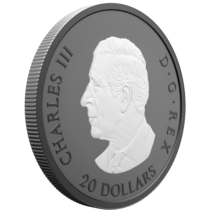 Canadá: Elegante Arce $ 20 Plata 2025 Mate Proof Coin