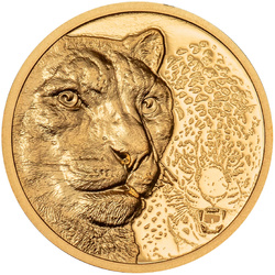 Mongolia: Snow Leopard 1/10 oz Gold 2024 Proof Ultra High Relief