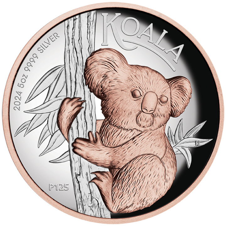 Australian Koala 5 oz Silber 2024 Proof High Relief Gilded Coin