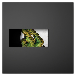 Isole Cook: Topografia - Hawaii colorata 1000 grammi d'argento 2025 Proof