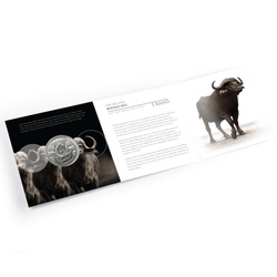 Big Five II: Buffalo 1 oncia d'argento 2023