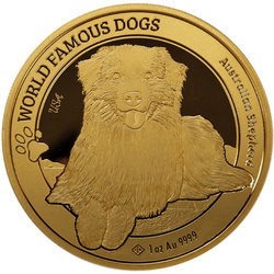 Cameroon: World Famous Dogs - Australian Shepherd 1 oz Gold 2024