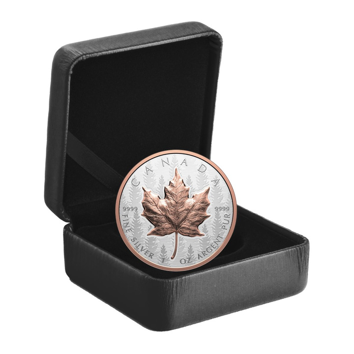 Foglia d'acero canadese “Silver Maple Leaf” placcata in oro 1 oncia d'argento 2025 Reverse Proof Ultra High Relief