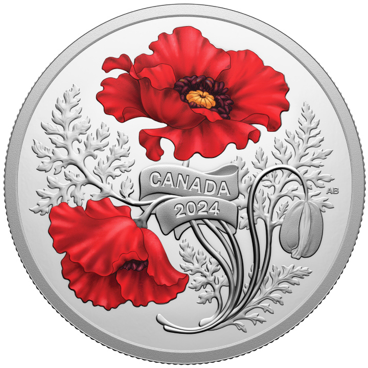 Canada: Remembrance Day colorato $20 Argento 2024 Proof