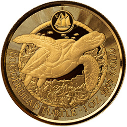 Cayman Islands: Loggerhead Turtle 1 oz Gold 2023 Prooflike