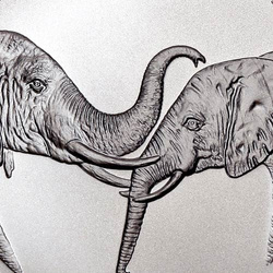 African Wildlife: Słoń 1 uncja Srebra 2002