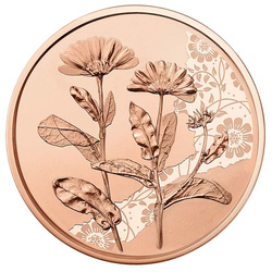 Marigold 10 Euro Copper 2022