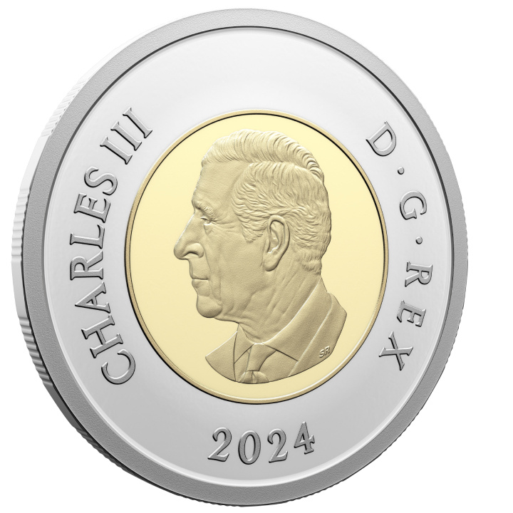 Canada: 100th Anniversary of the Royal Canadian Air Force 7 Coin 2024 Proof Special Edition Set