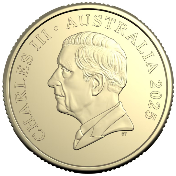 RAM: Bluey Christmas coloreado 9 g Bronce de aluminio 2025