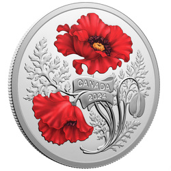 Canada: Remembrance Day kolorowany $20 Srebro 2024 Proof