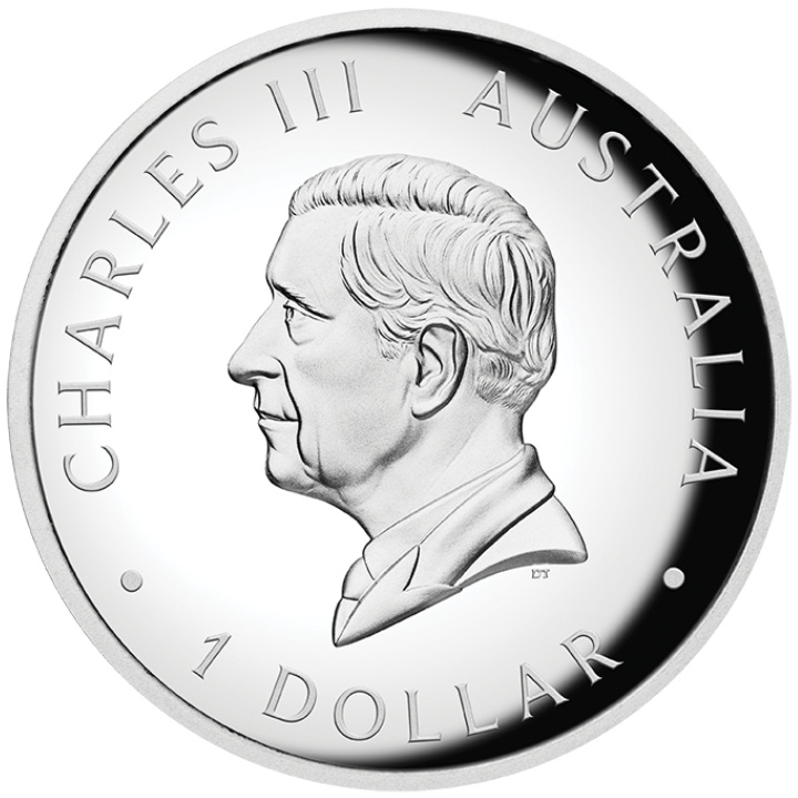 Australian Kangaroo coloured 1 oz Silver 2025 Proof High Relief