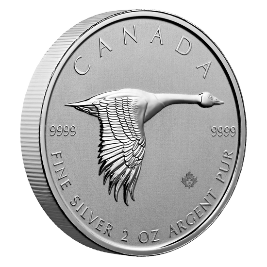 Goose 2 oz Silver 2020