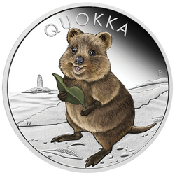 Quokka 1 uncja Srebra 2021 Kolorowany Proof