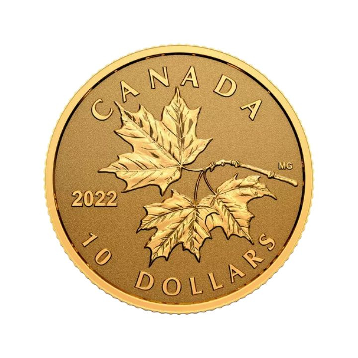 Canada : Feuille d'érable éternelle 1/20 once d'or 2022 Proof