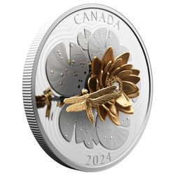 Canada : La libellule et la fleur plaquée or 50 argent 2024 Proof