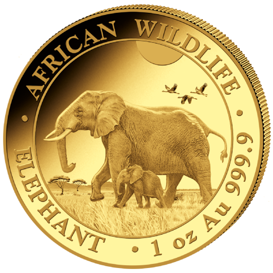 Faune africaine : Éléphant de Somalie 1 once d'or 2022