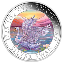 Swan coloured 1 oz Silver 2025