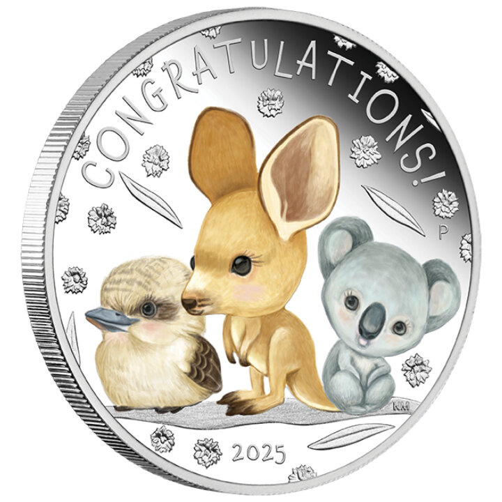 Newborn coloured 1/2 oz Silver 2025 Proof