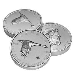 Goose 2 oz Silver 2020