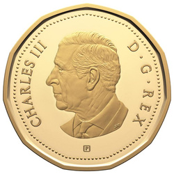 Conjunto de Canadá: 100º Aniversario de la Real Fuerza Aérea Canadiense 7 monedas de plata 2024 Proof