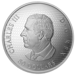 Canada : Le Chardonneret et la Fleur plaqué or 50 Argent 2025 Proof