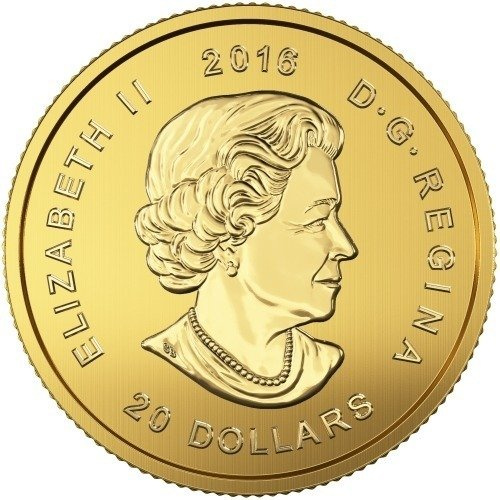 Nature's Call: Puma Aullador 1/10 oz Oro 2016