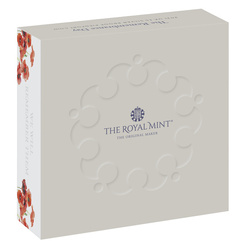 The Remembrance Day colorato Argento 2021 Proof Piedford Coin