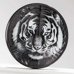 Cook-szigetek: Fekete és fehér – Tigris, 1 uncia ezüst, 2025, obszidián-fekete proof.