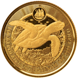 Cayman Islands: Loggerhead Turtle 1/10 oz Gold 2023 Prooflike