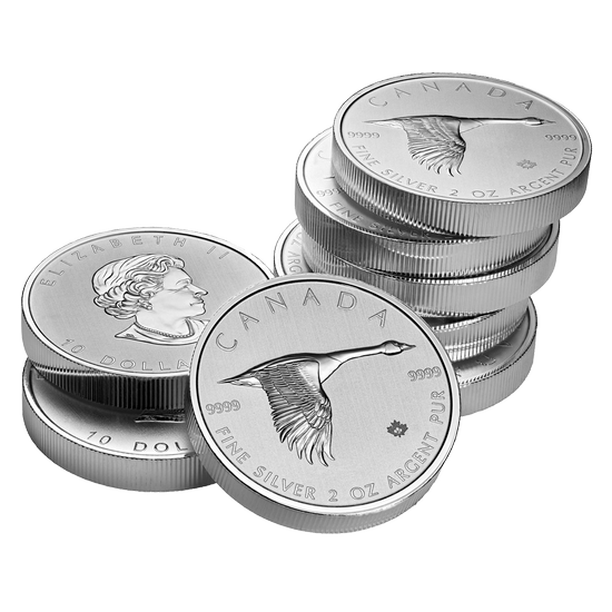 Gans 2 oz Silber 2020