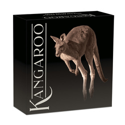 Kangourou australien 1 once d'or 2023 Proof High Relief