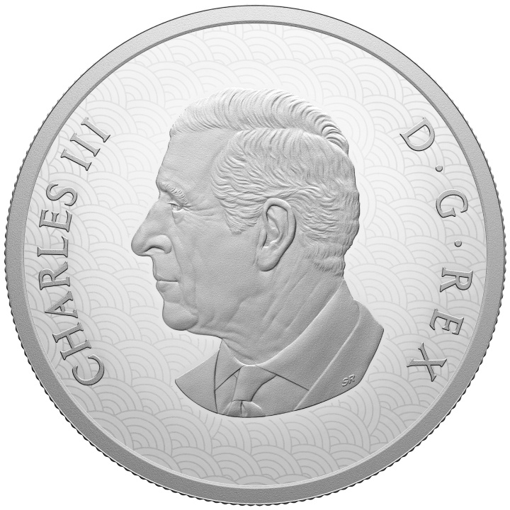 Canada: Lunar Year of the Snake 1 oz Silber 2025 Proof