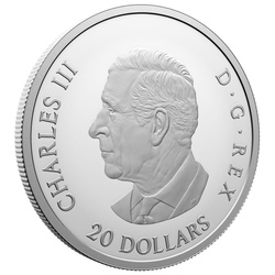 Silbermünze Bunte Vögel: Kanadische Häher koloriert 1 Unze Silber 2026 Proof