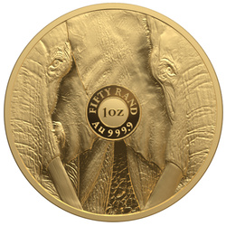 Big Five III: Elefante 1 oncia d'oro 2024 Proof