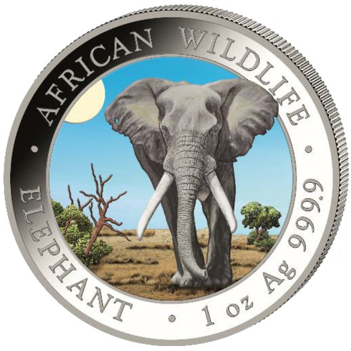 Faune africaine : Éléphant somalien « Day » coloré 1 once d'argent 2025