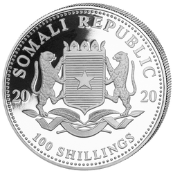 African Wildlife: Leopard 1 uncja Srebra 2020