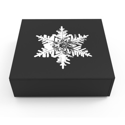 Canada : Flocon de neige 20 Argent 2023 Reverse Proof