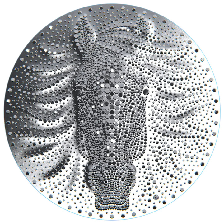 Niue: Year of the Horse 2 onzas Plata 2026 Prooflike